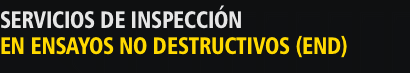 SERVICIOS DE INSPECCIN